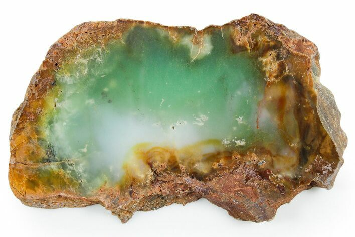 Polished Green Chrysoprase Slab - Western Australia #353698